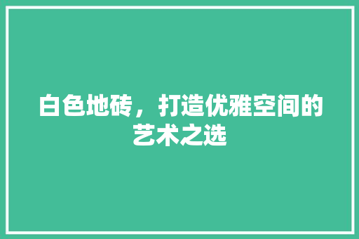 白色地砖，打造优雅空间的艺术之选
