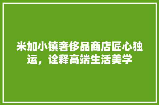 米加小镇奢侈品商店匠心独运，诠释高端生活美学