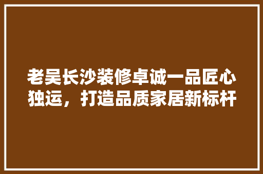 老吴长沙装修卓诚一品匠心独运，打造品质家居新标杆