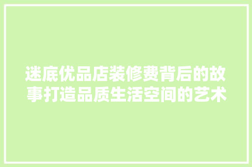 迷底优品店装修费背后的故事打造品质生活空间的艺术