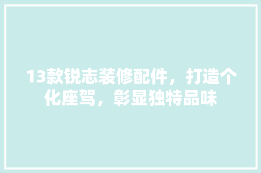 13款锐志装修配件，打造个化座驾，彰显独特品味