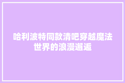 哈利波特同款清吧穿越魔法世界的浪漫邂逅