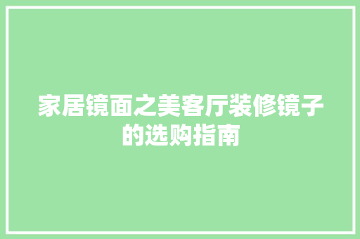 家居镜面之美客厅装修镜子的选购指南