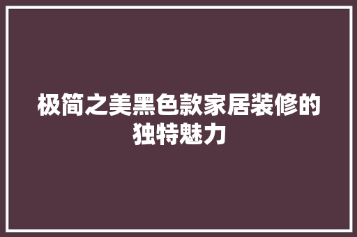 极简之美黑色款家居装修的独特魅力