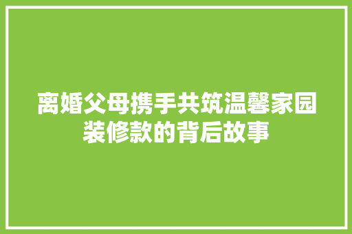 离婚父母携手共筑温馨家园装修款的背后故事