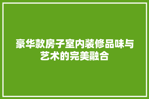 豪华款房子室内装修品味与艺术的完美融合