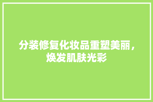 分装修复化妆品重塑美丽，焕发肌肤光彩
