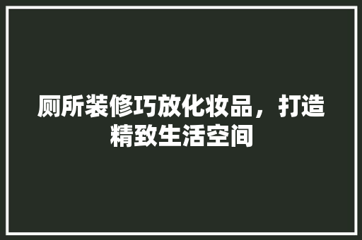 厕所装修巧放化妆品，打造精致生活空间