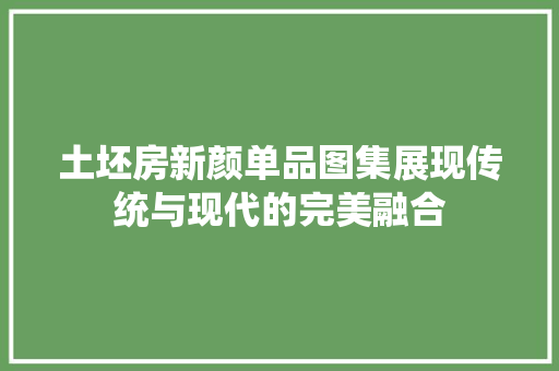 土坯房新颜单品图集展现传统与现代的完美融合