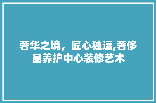 奢华之境，匠心独运,奢侈品养护中心装修艺术