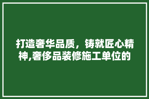 打造奢华品质，铸就匠心精神,奢侈品装修施工单位的崛起之路