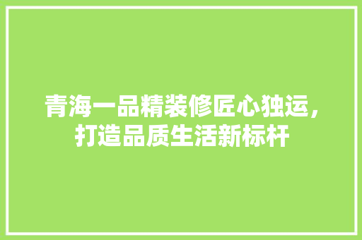 青海一品精装修匠心独运，打造品质生活新标杆
