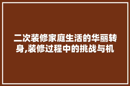 二次装修家庭生活的华丽转身,装修过程中的挑战与机遇 折叠门
