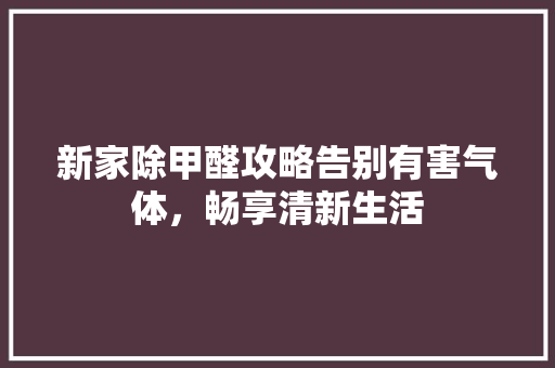 新家除甲醛攻略告别有害气体，畅享清新生活