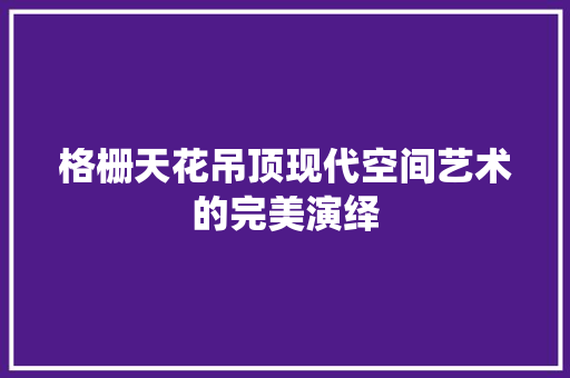 格栅天花吊顶现代空间艺术的完美演绎