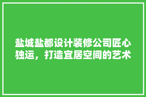 盐城盐都设计装修公司匠心独运，打造宜居空间的艺术殿堂