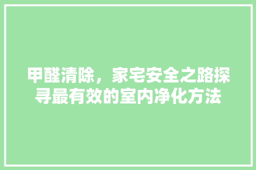 甲醛清除，家宅安全之路探寻最有效的室内净化方法