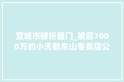 宣城市肆折叠门_被薅7000万的小天鹅东山专卖店公布赔偿筹划