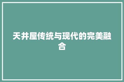 天井屋传统与现代的完美融合