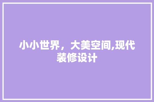小小世界，大美空间,现代装修设计