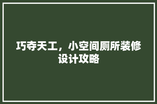 巧夺天工，小空间厕所装修设计攻略