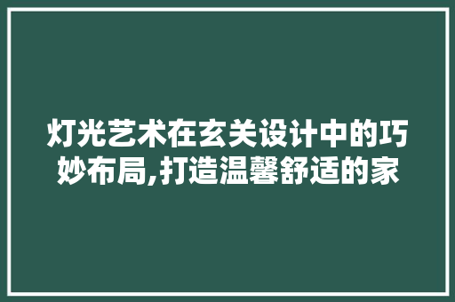 灯光艺术在玄关设计中的巧妙布局,打造温馨舒适的家居入门体验