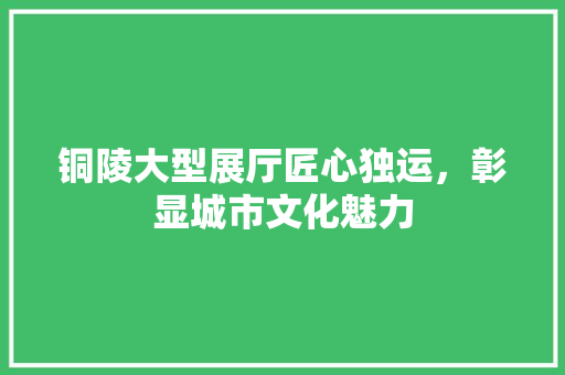 铜陵大型展厅匠心独运，彰显城市文化魅力