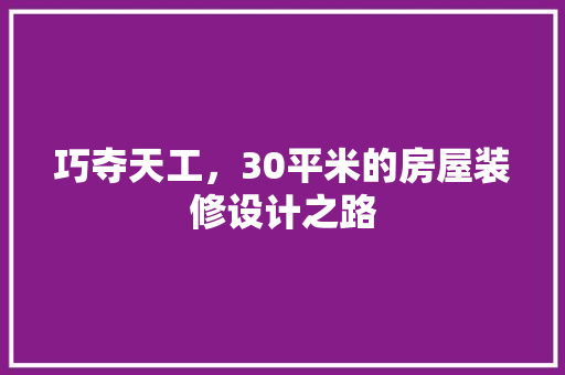 巧夺天工，30平米的房屋装修设计之路