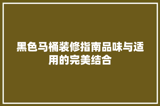黑色马桶装修指南品味与适用的完美结合