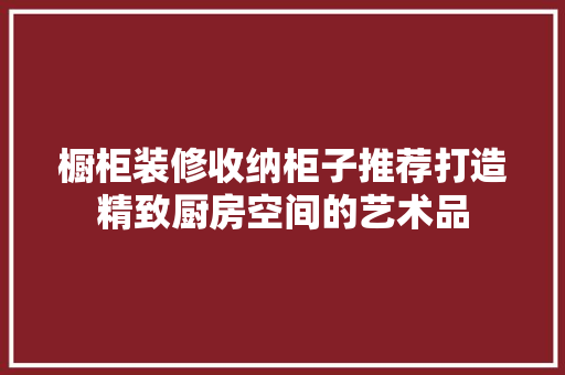 橱柜装修收纳柜子推荐打造精致厨房空间的艺术品