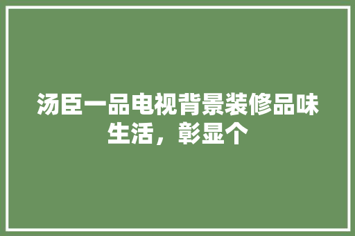 汤臣一品电视背景装修品味生活，彰显个
