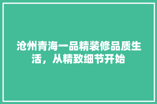 沧州青海一品精装修品质生活，从精致细节开始