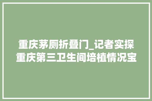重庆茅厕折叠门_记者实探重庆第三卫生间培植情况宝妈呼吁增设第三卫生间