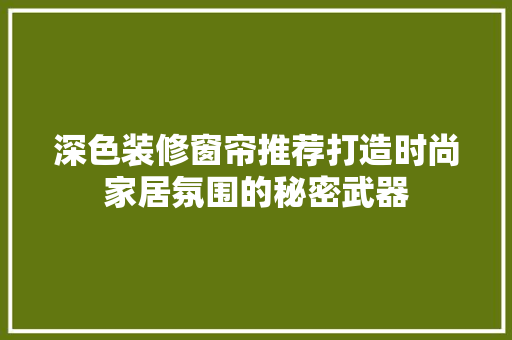 深色装修窗帘推荐打造时尚家居氛围的秘密武器
