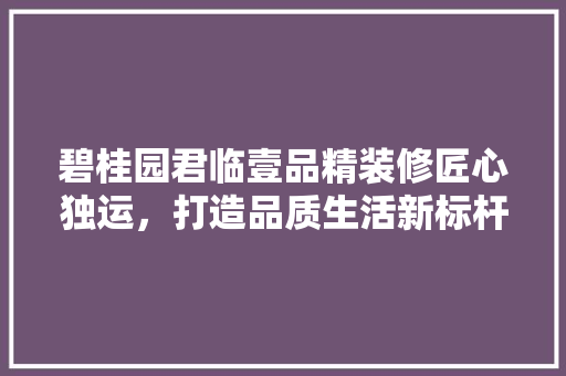 碧桂园君临壹品精装修匠心独运，打造品质生活新标杆