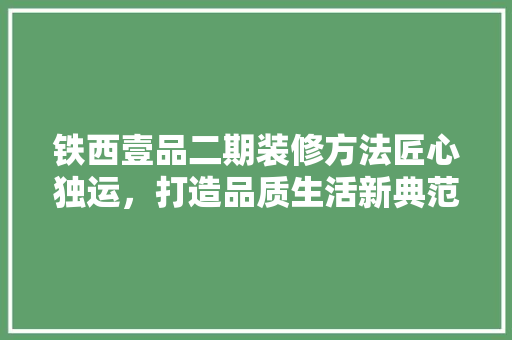 铁西壹品二期装修方法匠心独运，打造品质生活新典范