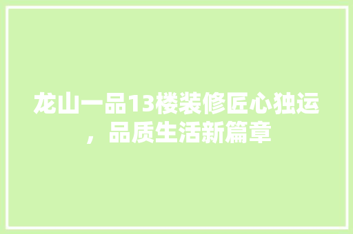 龙山一品13楼装修匠心独运，品质生活新篇章