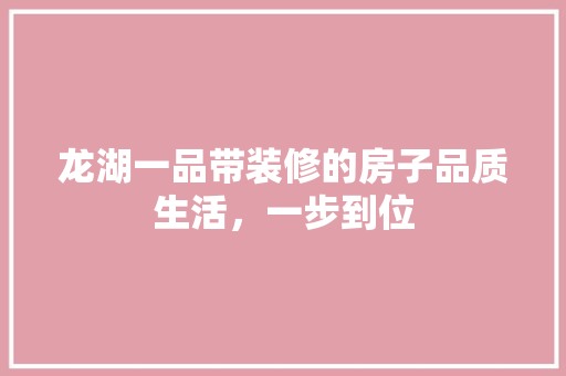 龙湖一品带装修的房子品质生活，一步到位