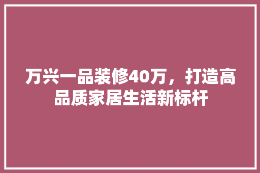 万兴一品装修40万，打造高品质家居生活新标杆