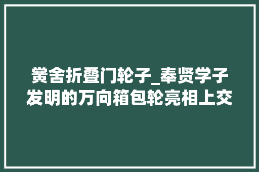 黉舍折叠门轮子_奉贤学子发明的万向箱包轮亮相上交会设计产品已在天猫有售 滑动门