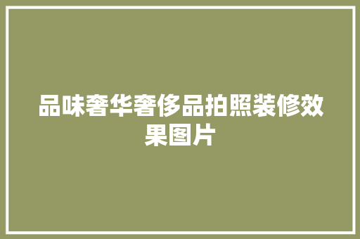 品味奢华奢侈品拍照装修效果图片