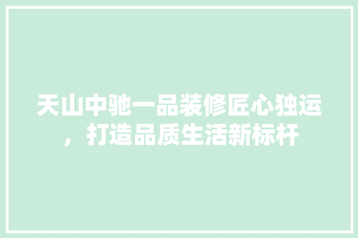 天山中驰一品装修匠心独运，打造品质生活新标杆