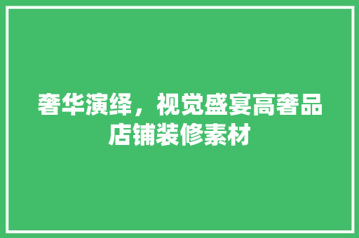 奢华演绎，视觉盛宴高奢品店铺装修素材