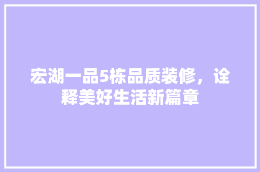 宏湖一品5栋品质装修，诠释美好生活新篇章