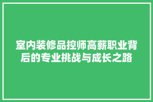 室内装修品控师高薪职业背后的专业挑战与成长之路