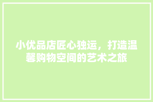 小优品店匠心独运，打造温馨购物空间的艺术之旅