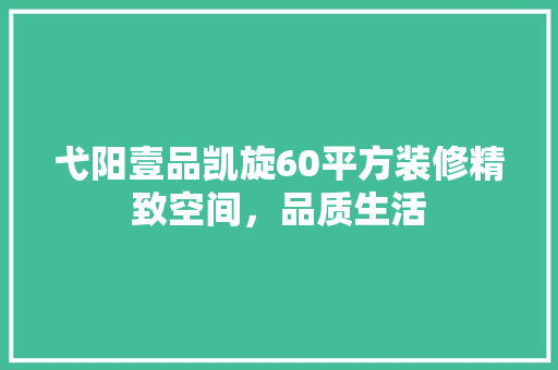 弋阳壹品凯旋60平方装修精致空间，品质生活