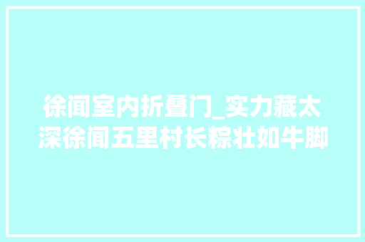 徐闻室内折叠门_实力藏太深徐闻五里村长粽壮如牛脚卷出粽界新高度