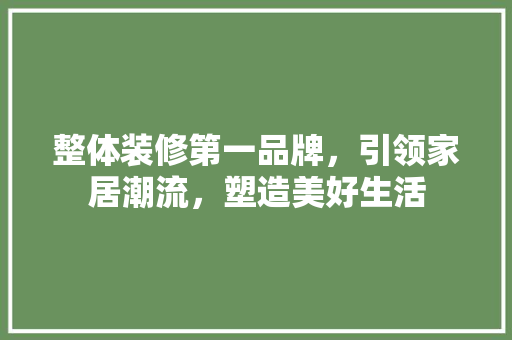 整体装修第一品牌，引领家居潮流，塑造美好生活
