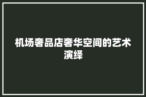 机场奢品店奢华空间的艺术演绎 复合门
